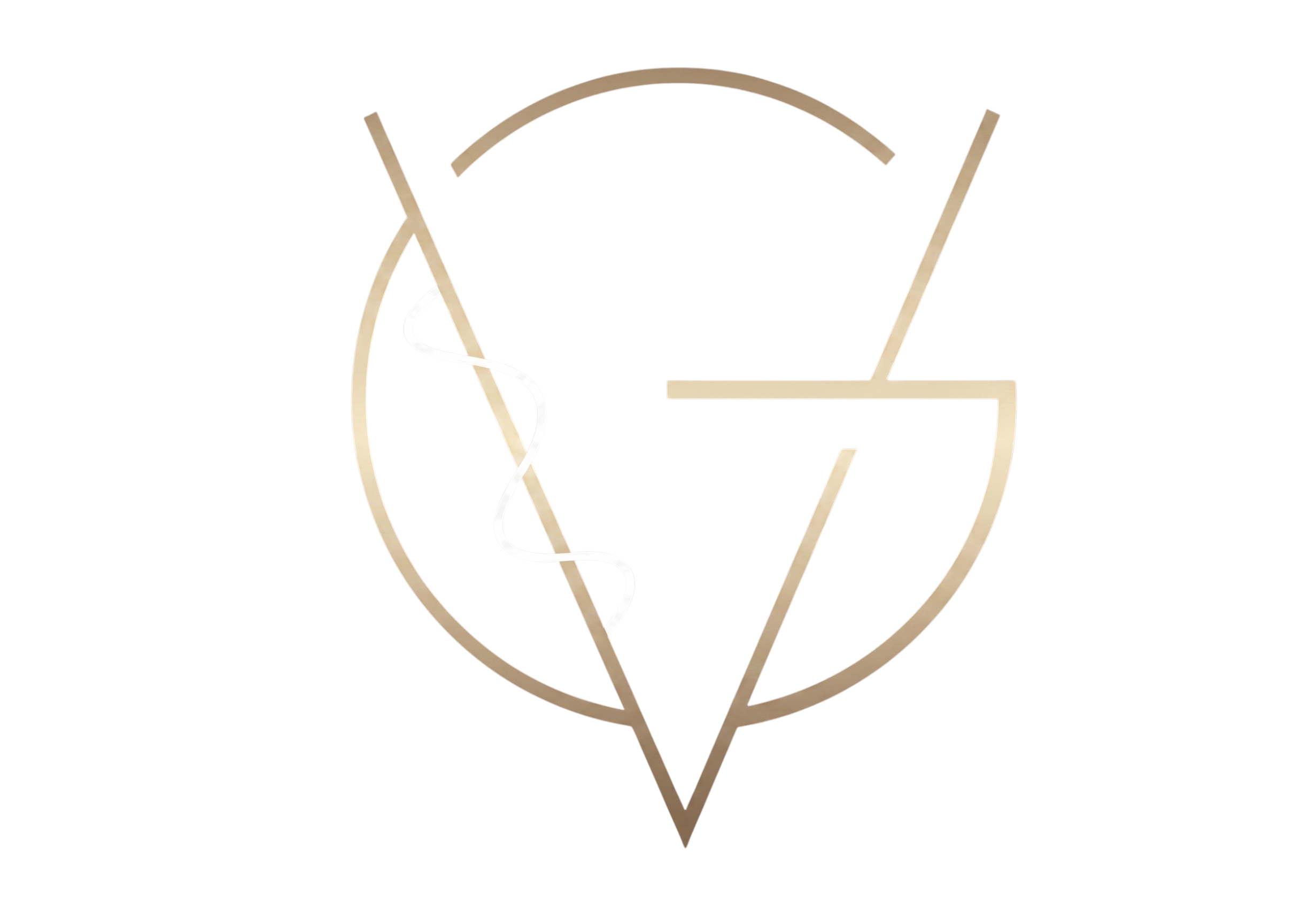 Dr. Vinicius Gennaro Logo